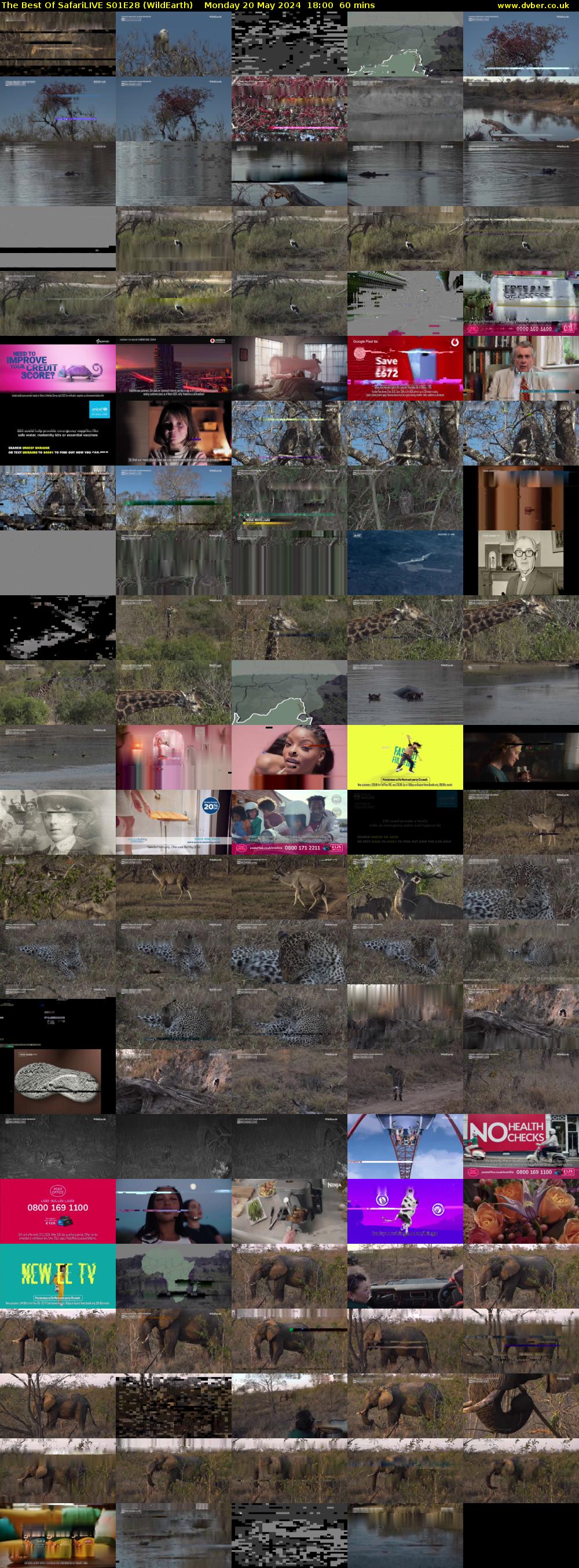 The Best Of SafariLIVE S01E28 (WildEarth) Monday 20 May 2024 18:00 - 19:00