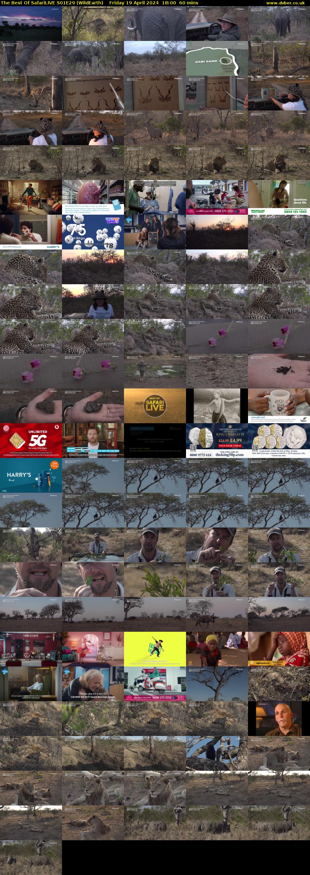 The Best Of SafariLIVE S01E29 (WildEarth) Friday 19 April 2024 18:00 - 19:00