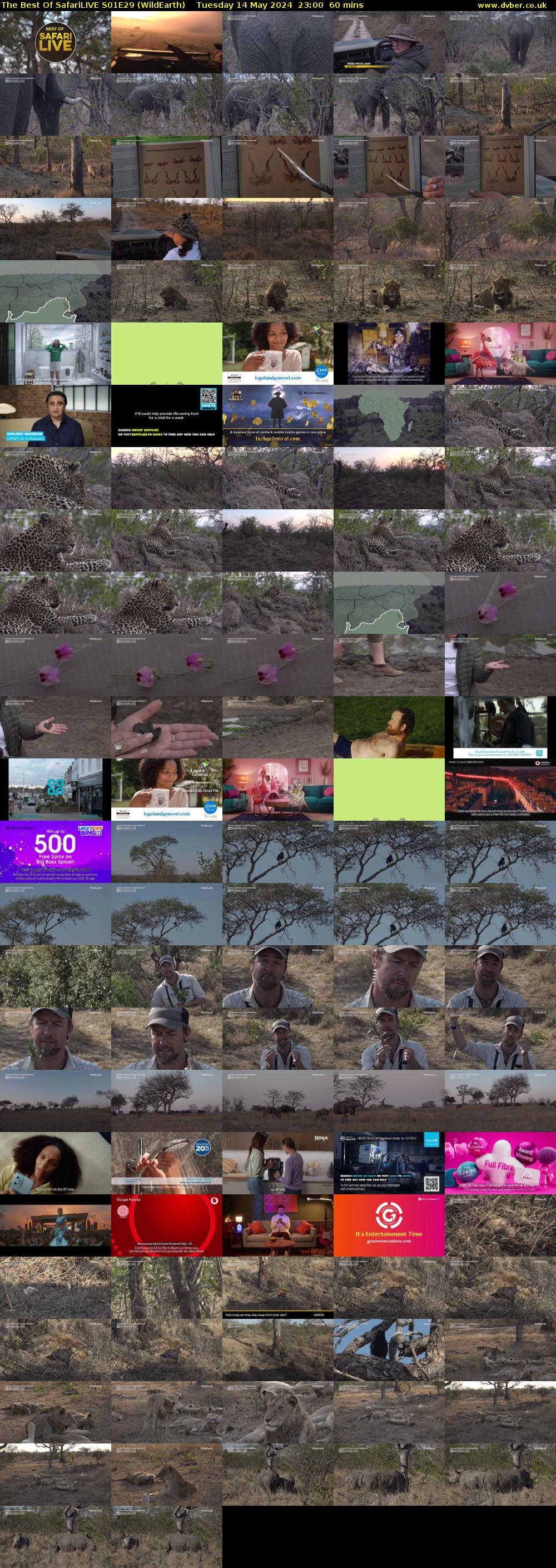 The Best Of SafariLIVE S01E29 (WildEarth) Tuesday 14 May 2024 23:00 - 00:00