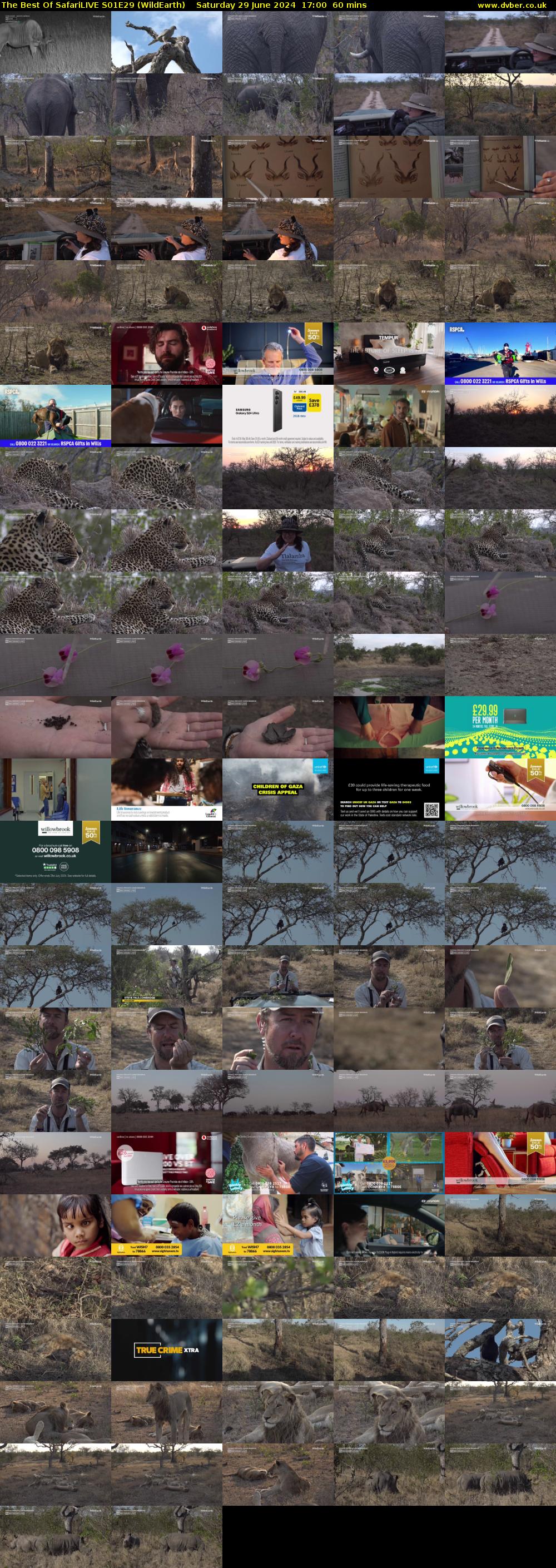 The Best Of SafariLIVE S01E29 (WildEarth) Saturday 29 June 2024 17:00 - 18:00