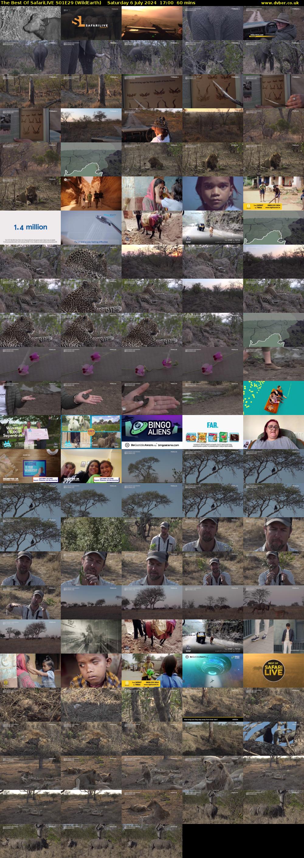 The Best Of SafariLIVE S01E29 (WildEarth) Saturday 6 July 2024 17:00 - 18:00