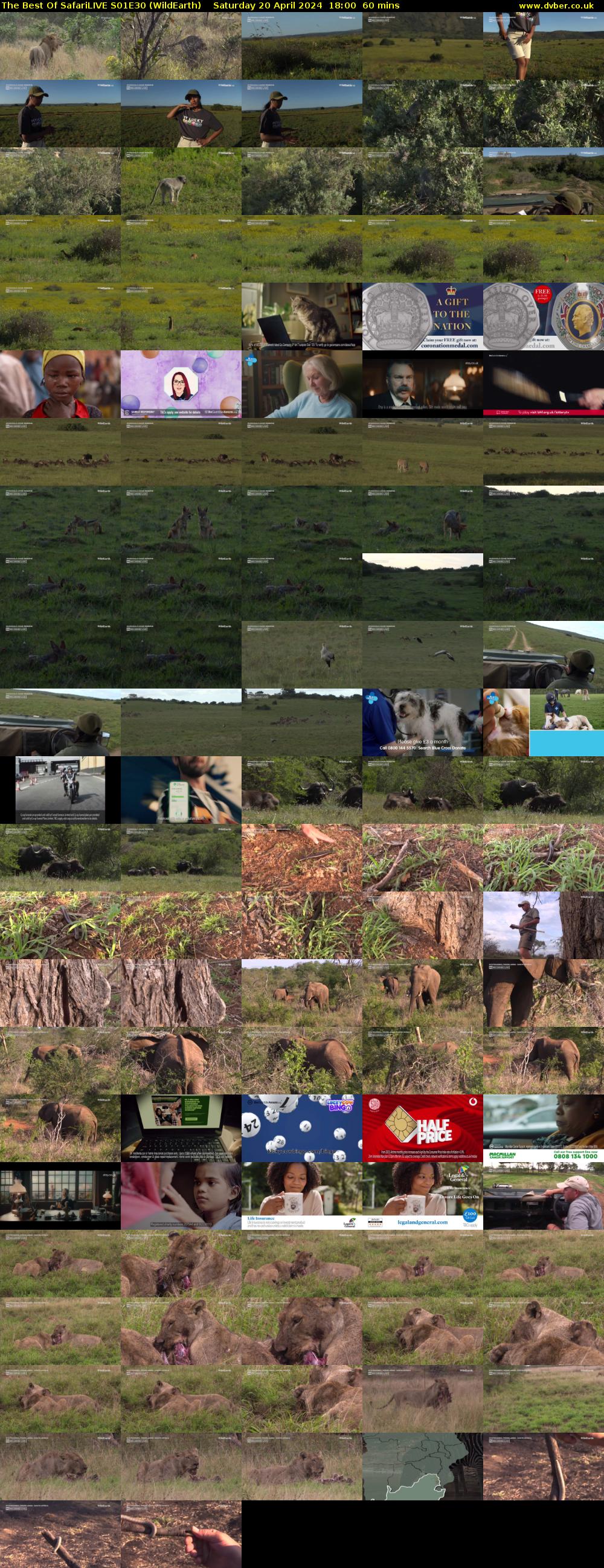 The Best Of SafariLIVE S01E30 (WildEarth) Saturday 20 April 2024 18:00 - 19:00