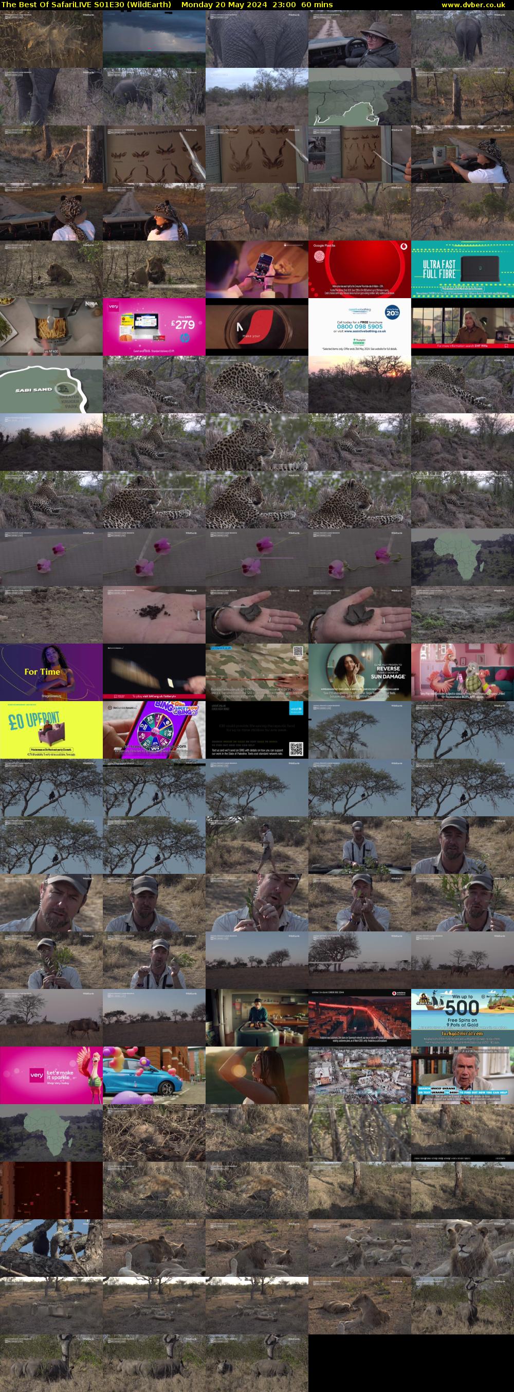 The Best Of SafariLIVE S01E30 (WildEarth) Monday 20 May 2024 23:00 - 00:00