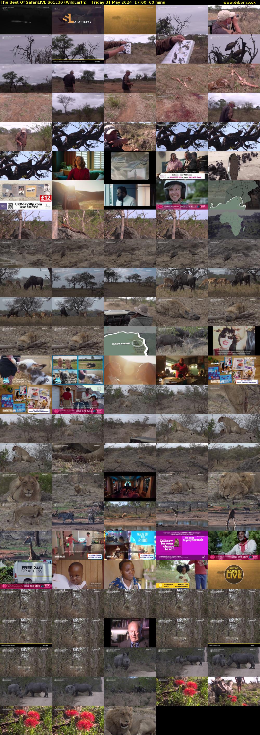 The Best Of SafariLIVE S01E30 (WildEarth) Friday 31 May 2024 17:00 - 18:00