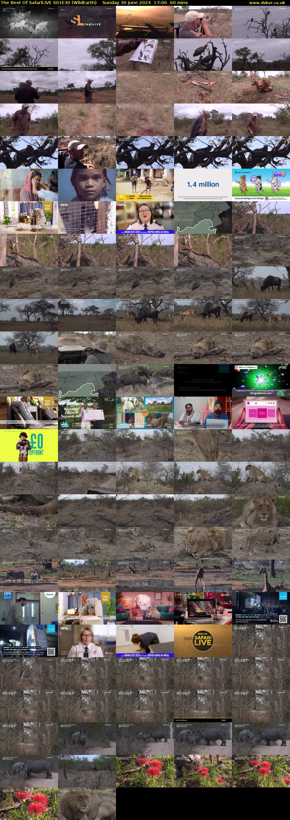 The Best Of SafariLIVE S01E30 (WildEarth) Sunday 30 June 2024 17:00 - 18:00