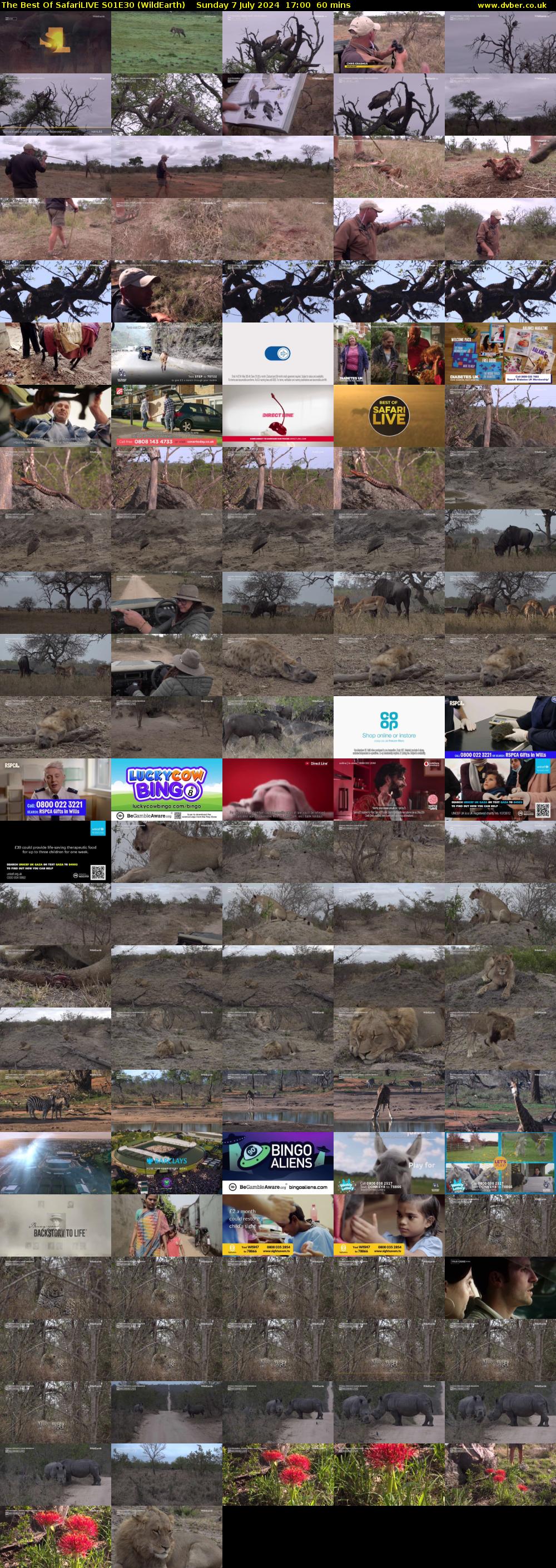 The Best Of SafariLIVE S01E30 (WildEarth) Sunday 7 July 2024 17:00 - 18:00