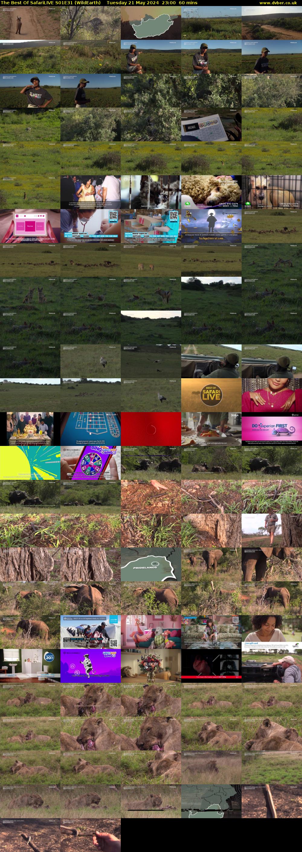 The Best Of SafariLIVE S01E31 (WildEarth) Tuesday 21 May 2024 23:00 - 00:00