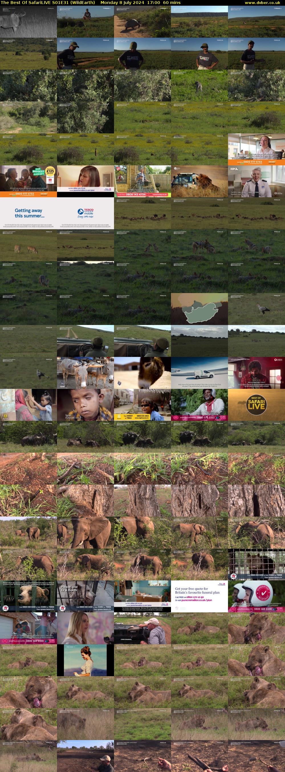 The Best Of SafariLIVE S01E31 (WildEarth) Monday 8 July 2024 17:00 - 18:00