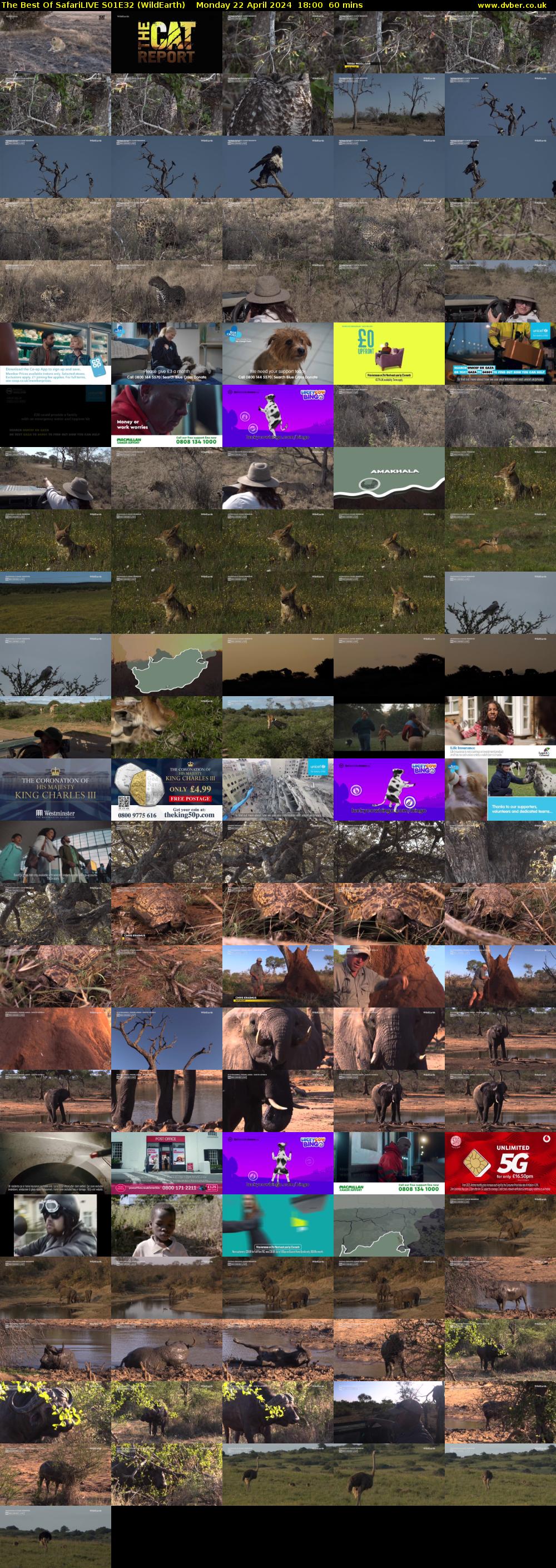 The Best Of SafariLIVE S01E32 (WildEarth) Monday 22 April 2024 18:00 - 19:00