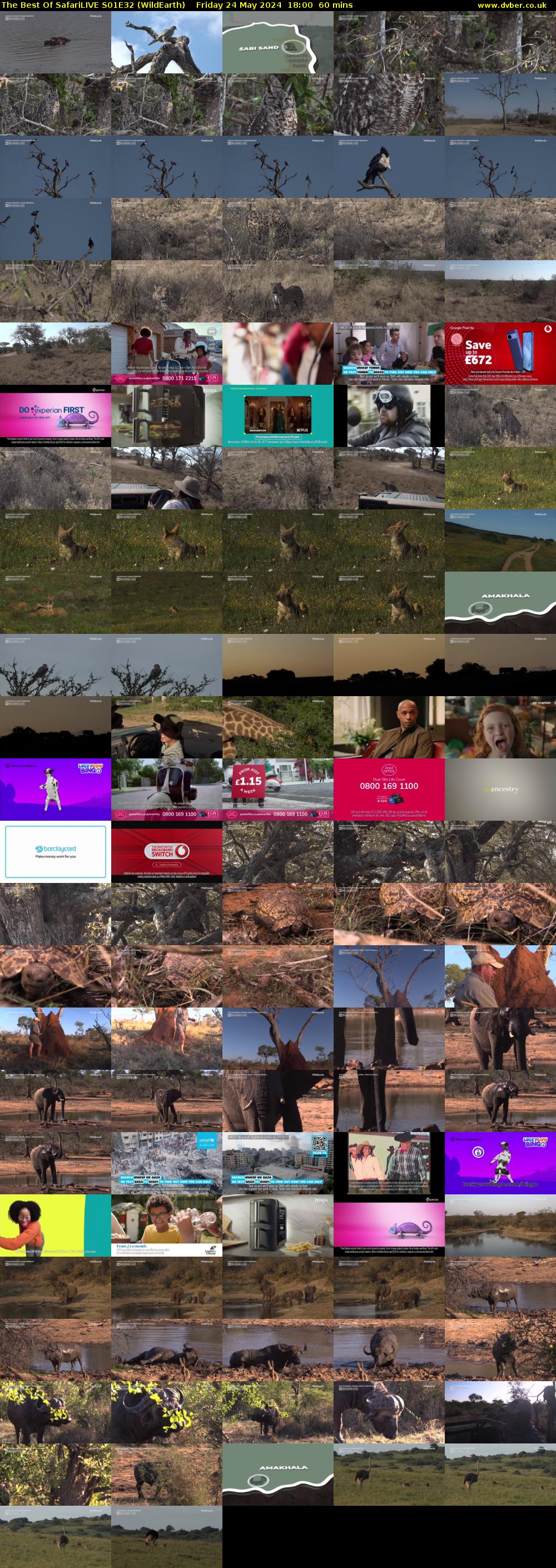 The Best Of SafariLIVE S01E32 (WildEarth) Friday 24 May 2024 18:00 - 19:00