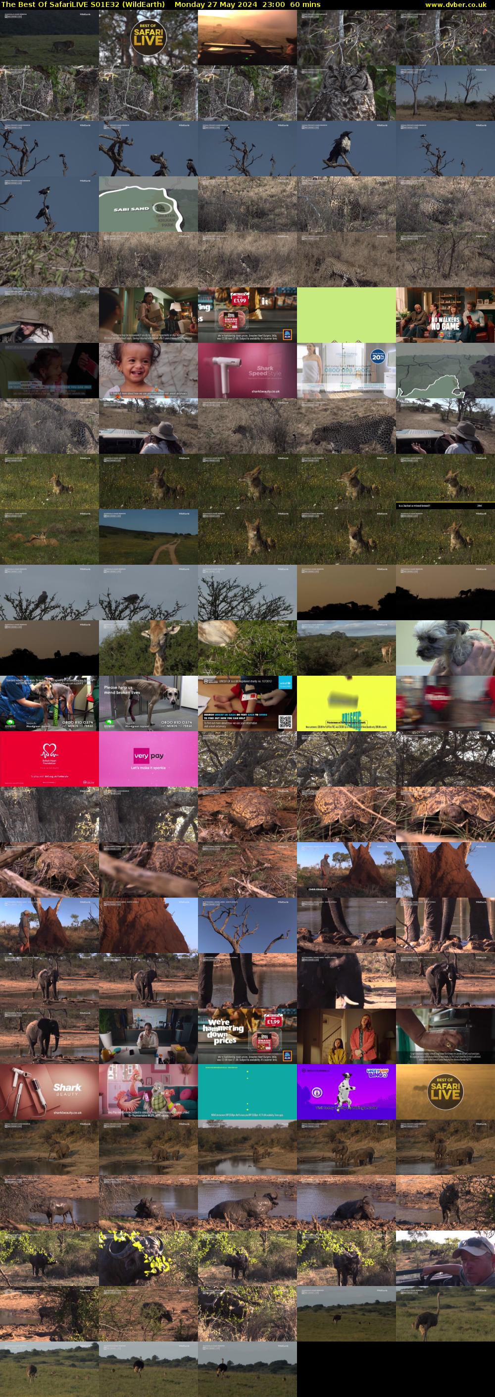The Best Of SafariLIVE S01E32 (WildEarth) Monday 27 May 2024 23:00 - 00:00