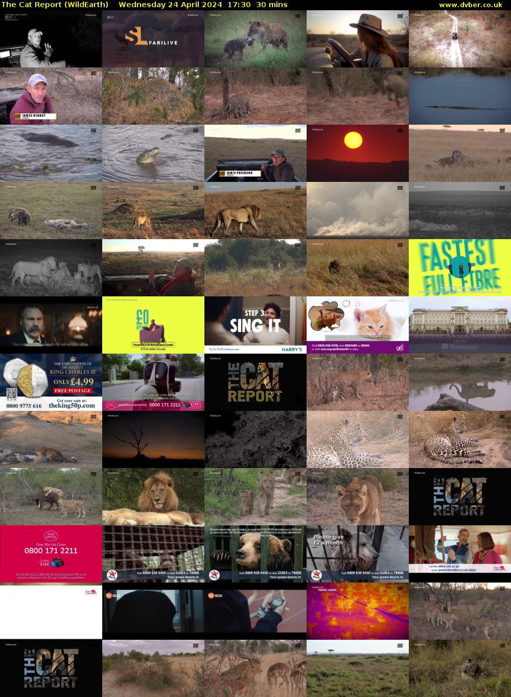The Cat Report (WildEarth) Wednesday 24 April 2024 17:30 - 18:00