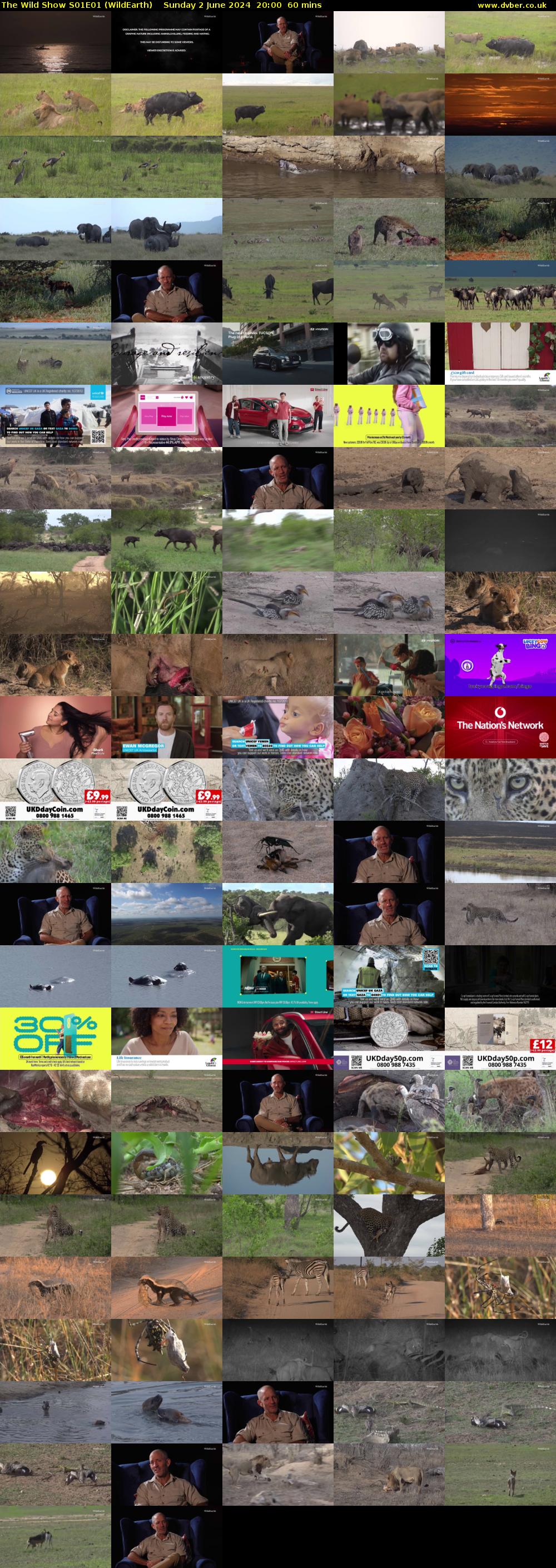 The Wild Show S01E01 (WildEarth) Sunday 2 June 2024 20:00 - 21:00