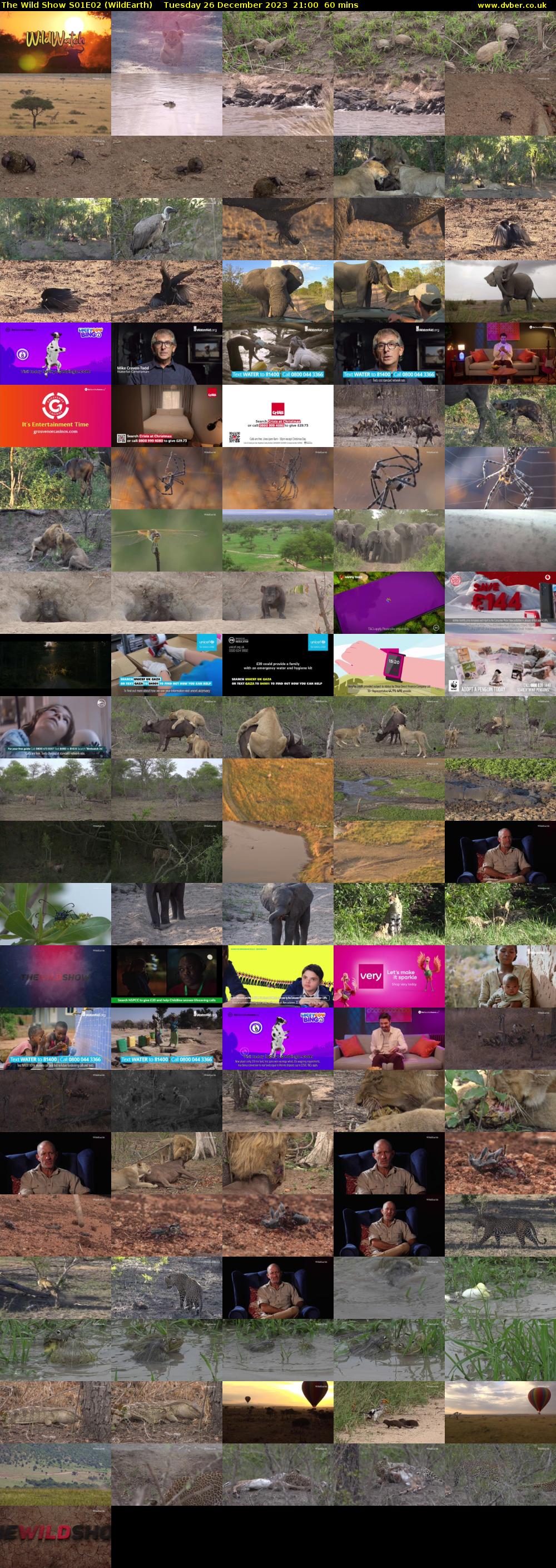 The Wild Show S01E02 (WildEarth) Tuesday 26 December 2023 21:00 - 22:00