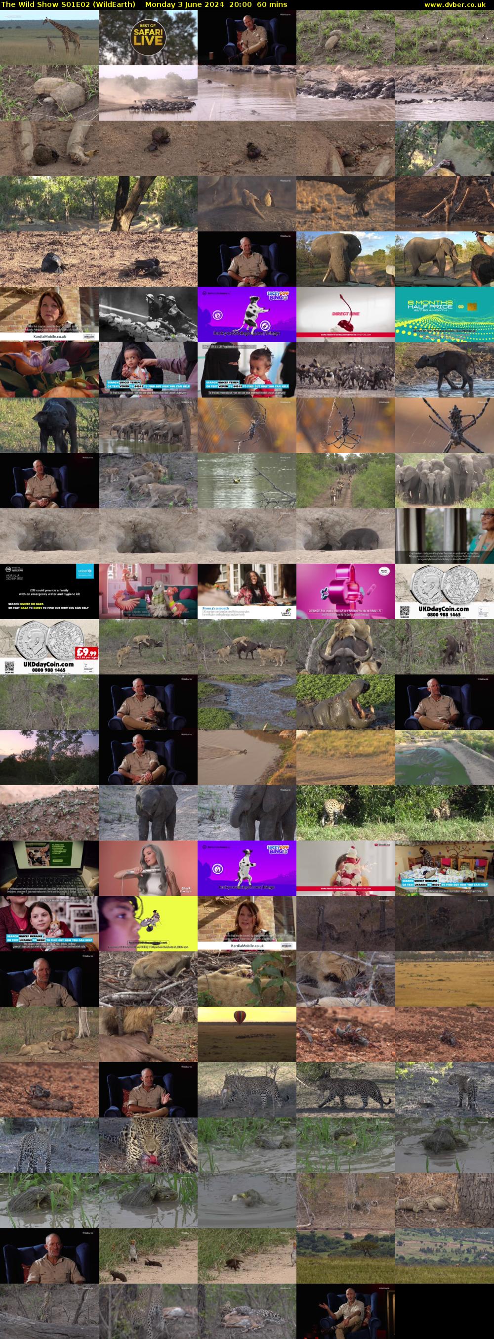 The Wild Show S01E02 (WildEarth) Monday 3 June 2024 20:00 - 21:00
