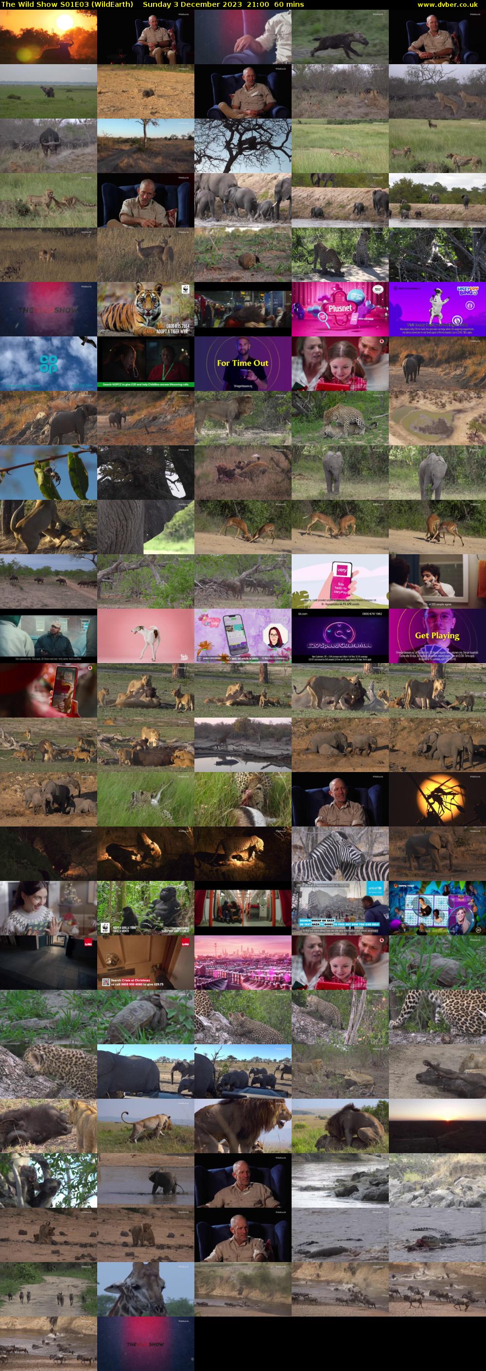 The Wild Show S01E03 (WildEarth) Sunday 3 December 2023 21:00 - 22:00