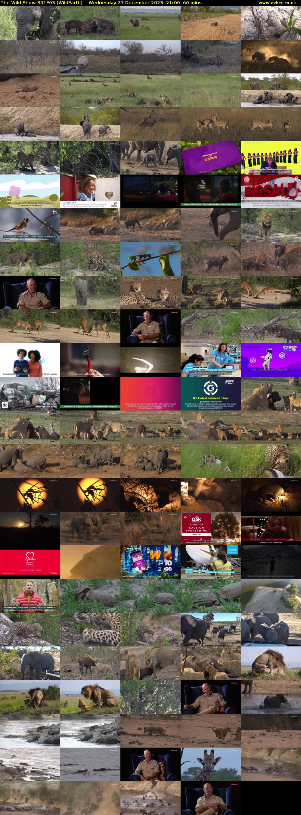 The Wild Show S01E03 (WildEarth) Wednesday 27 December 2023 21:00 - 22:00