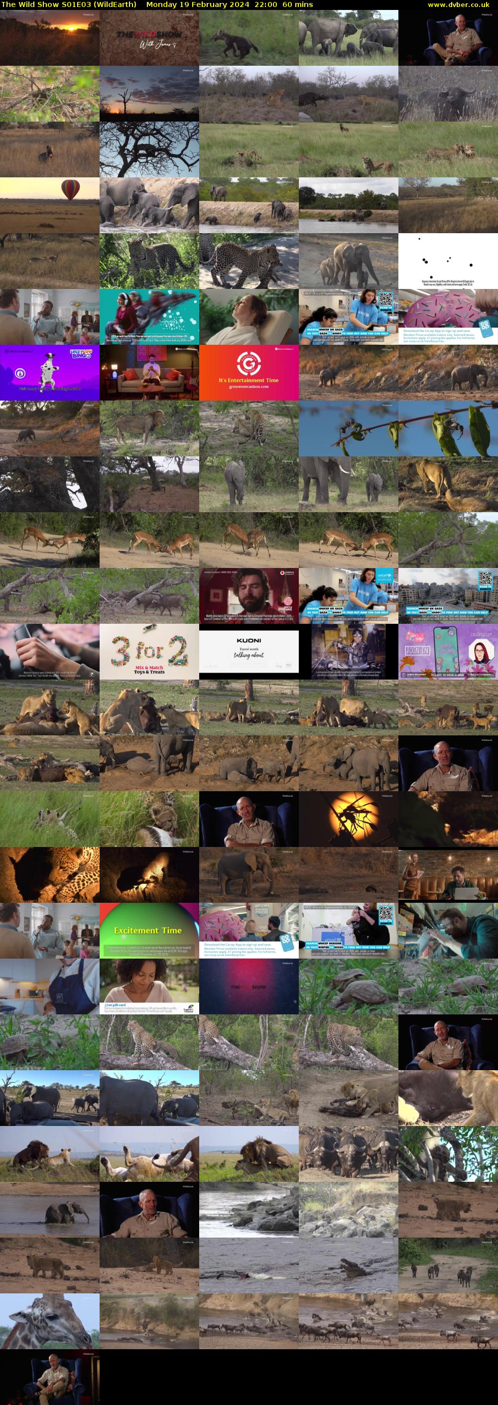 The Wild Show S01E03 (WildEarth) Monday 19 February 2024 22:00 - 23:00