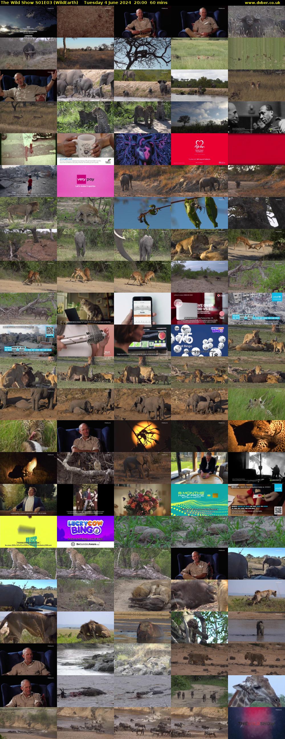 The Wild Show S01E03 (WildEarth) Tuesday 4 June 2024 20:00 - 21:00