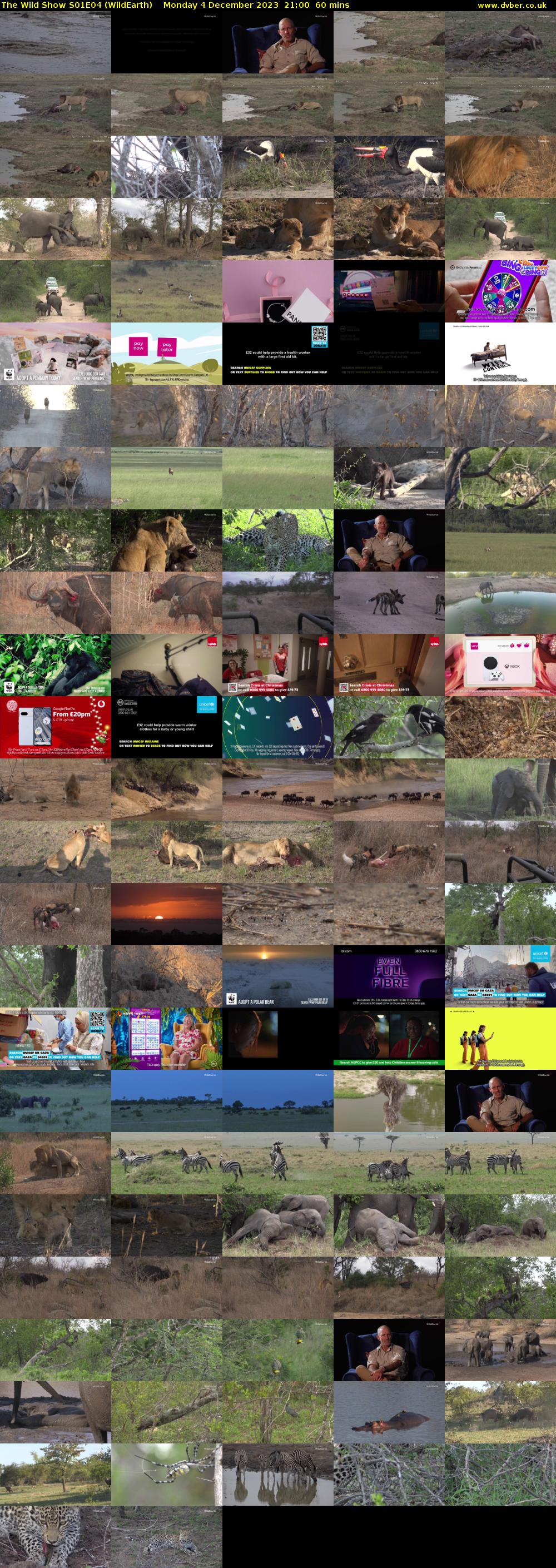 The Wild Show S01E04 (WildEarth) Monday 4 December 2023 21:00 - 22:00