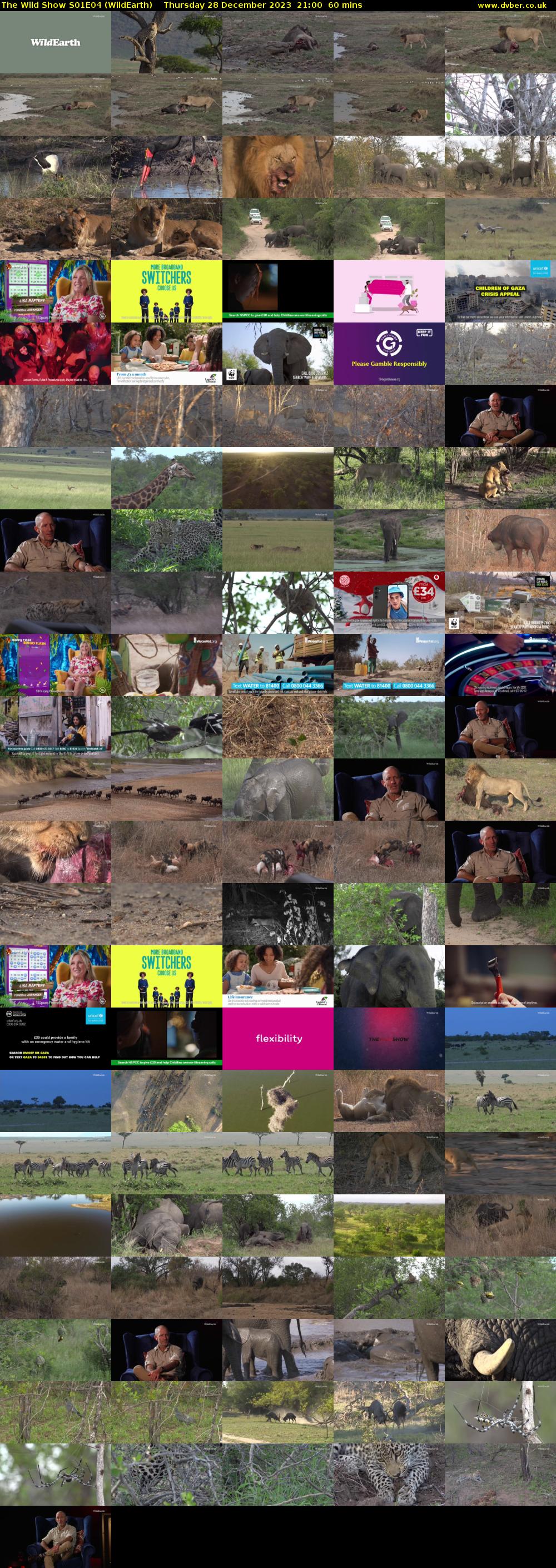 The Wild Show S01E04 (WildEarth) Thursday 28 December 2023 21:00 - 22:00