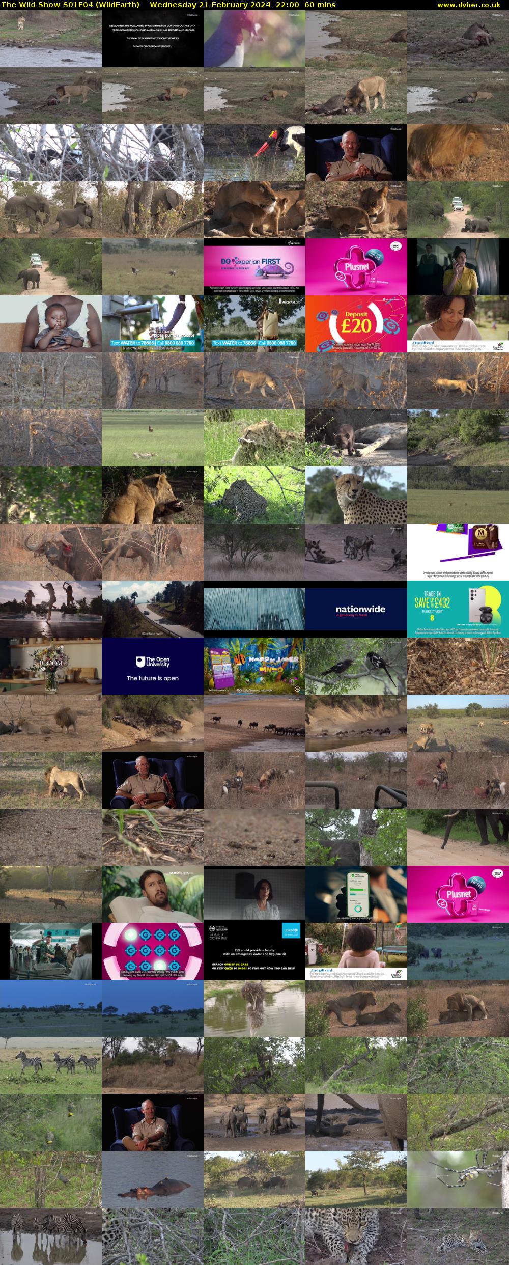 The Wild Show S01E04 (WildEarth) Wednesday 21 February 2024 22:00 - 23:00
