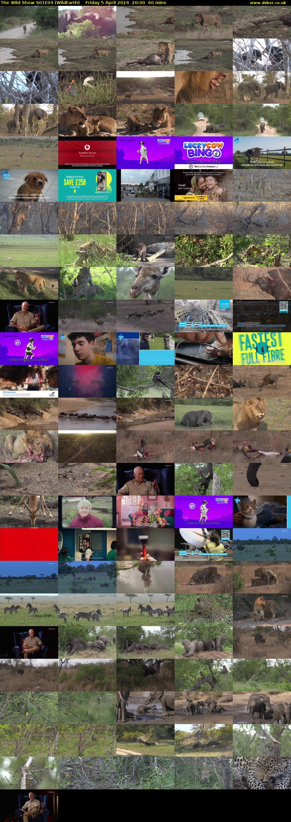 The Wild Show S01E04 (WildEarth) Friday 5 April 2024 20:00 - 21:00