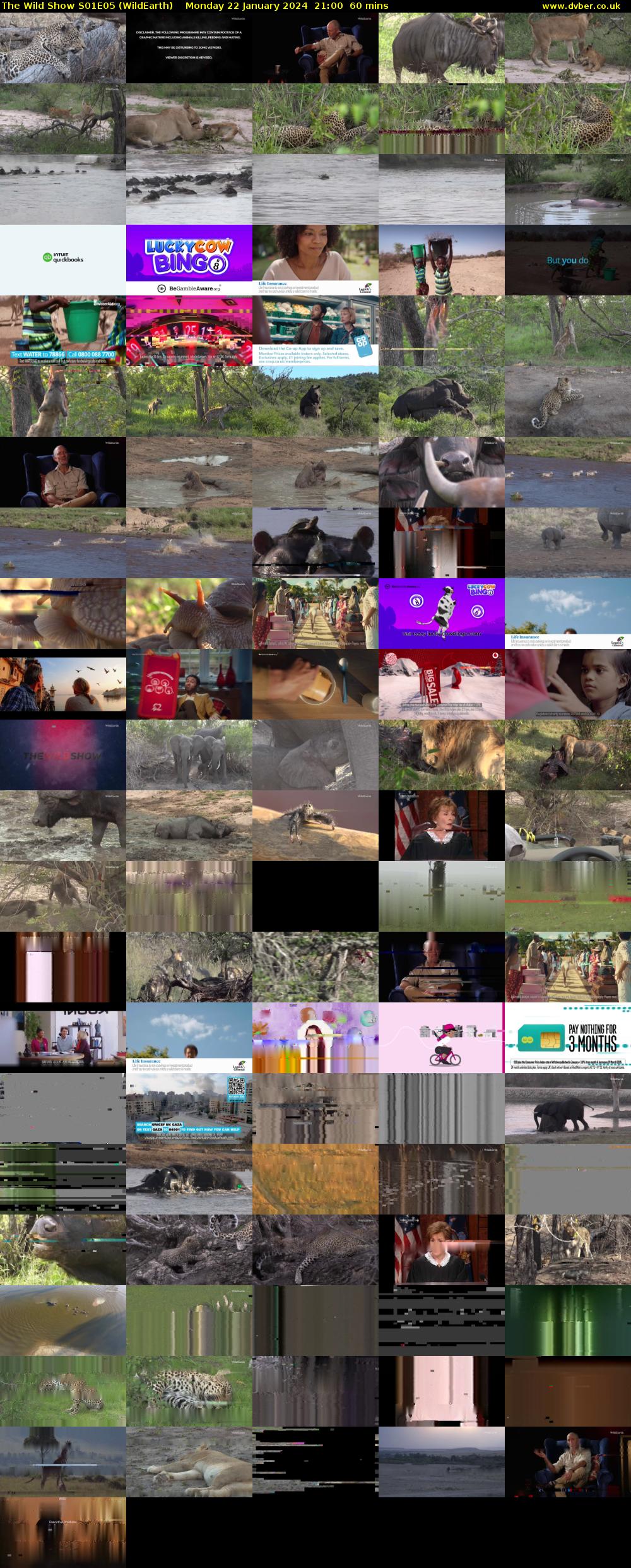 The Wild Show S01E05 (WildEarth) Monday 22 January 2024 21:00 - 22:00