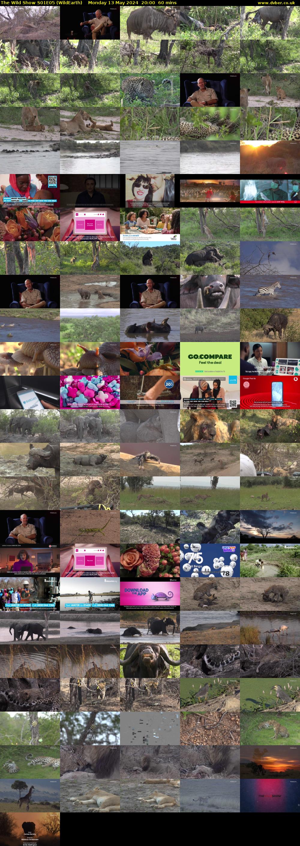 The Wild Show S01E05 (WildEarth) Monday 13 May 2024 20:00 - 21:00