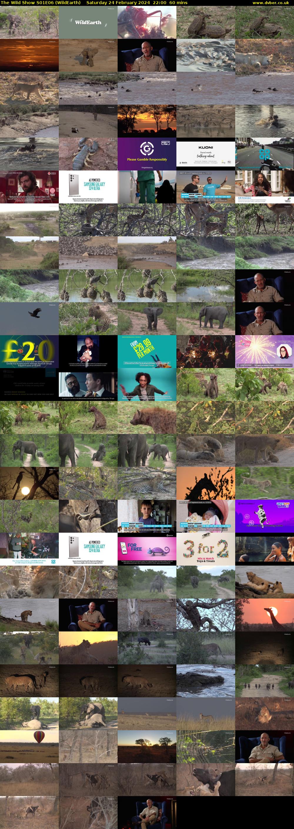 The Wild Show S01E06 (WildEarth) Saturday 24 February 2024 22:00 - 23:00