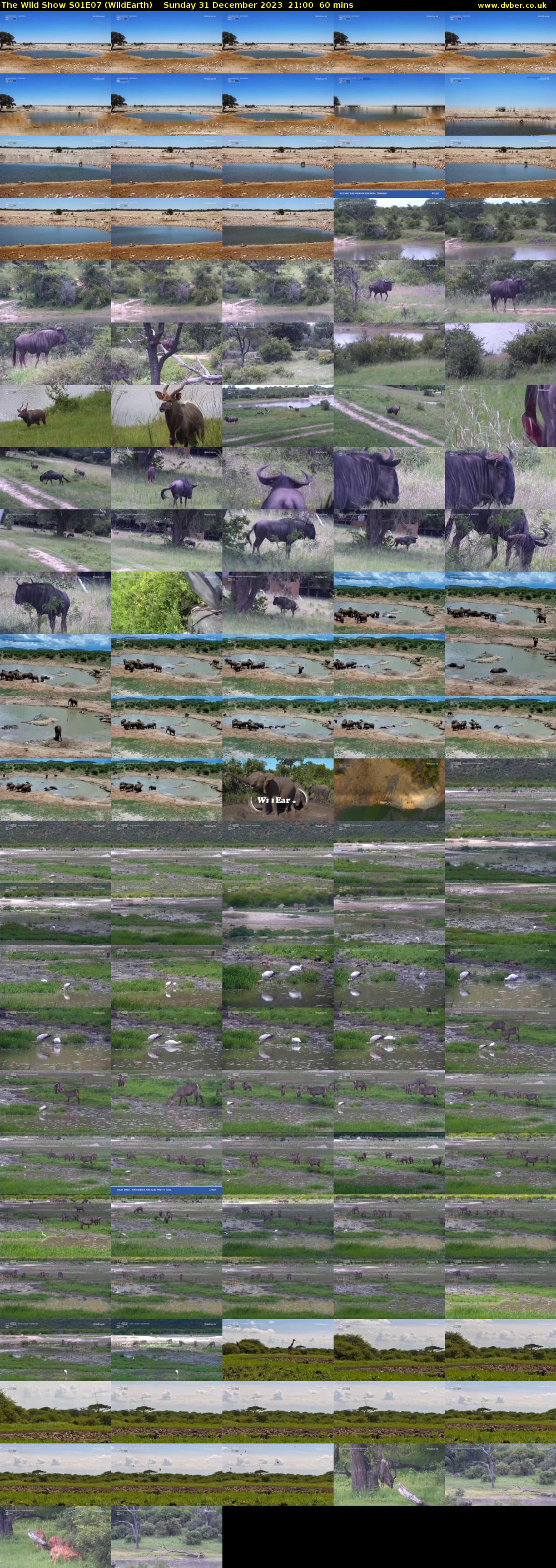The Wild Show S01E07 (WildEarth) Sunday 31 December 2023 21:00 - 22:00