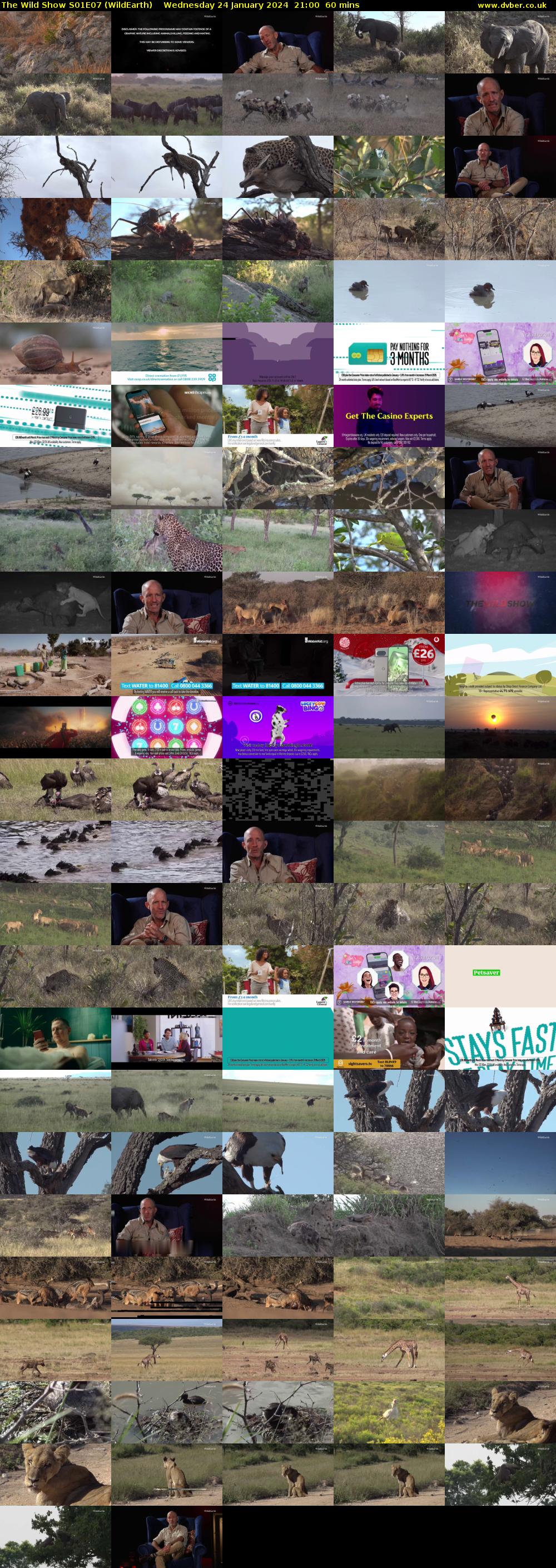The Wild Show S01E07 (WildEarth) Wednesday 24 January 2024 21:00 - 22:00