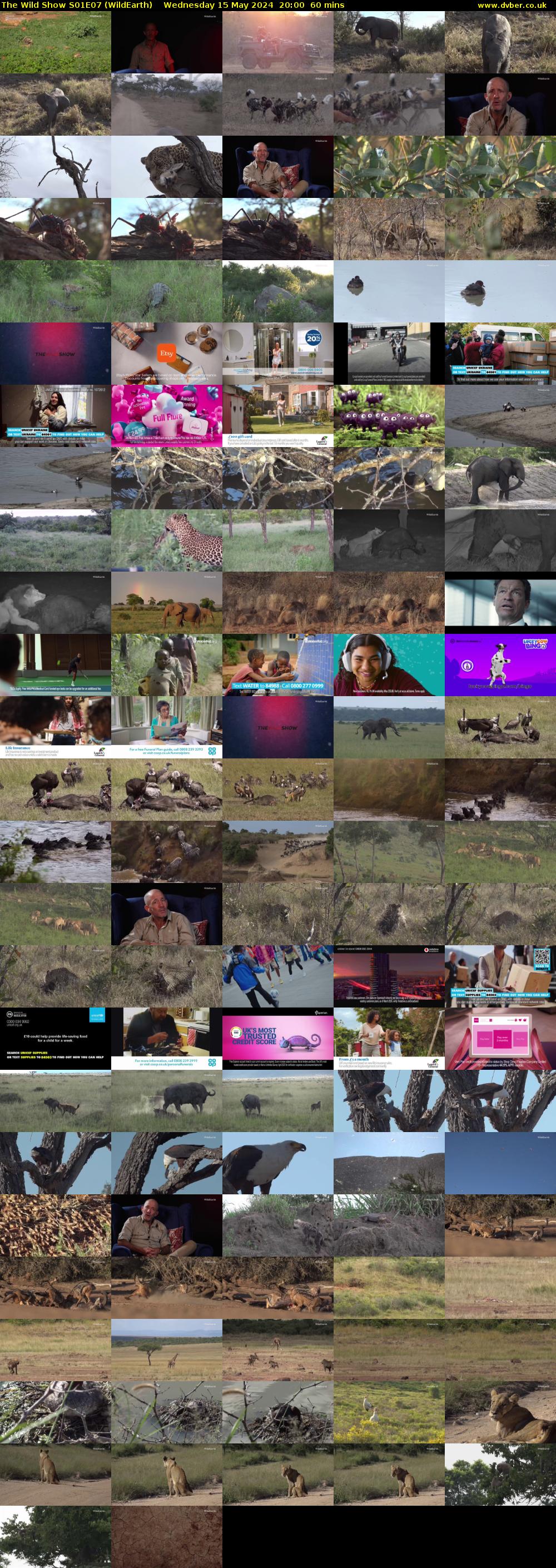 The Wild Show S01E07 (WildEarth) Wednesday 15 May 2024 20:00 - 21:00