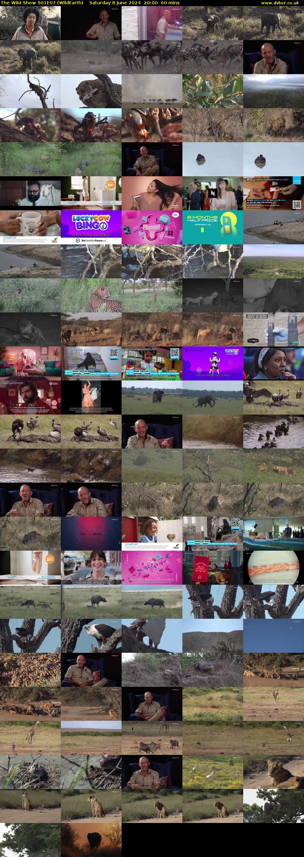 The Wild Show S01E07 (WildEarth) Saturday 8 June 2024 20:00 - 21:00
