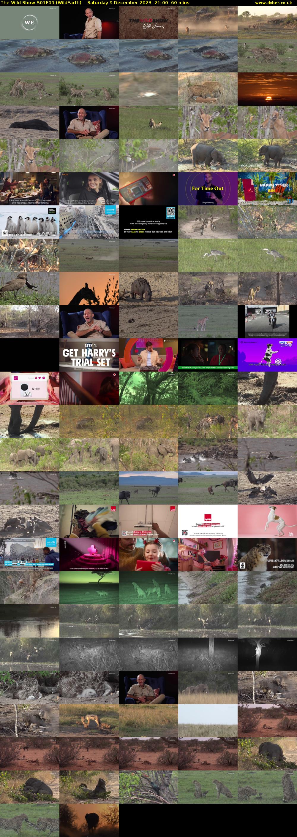 The Wild Show S01E09 (WildEarth) Saturday 9 December 2023 21:00 - 22:00