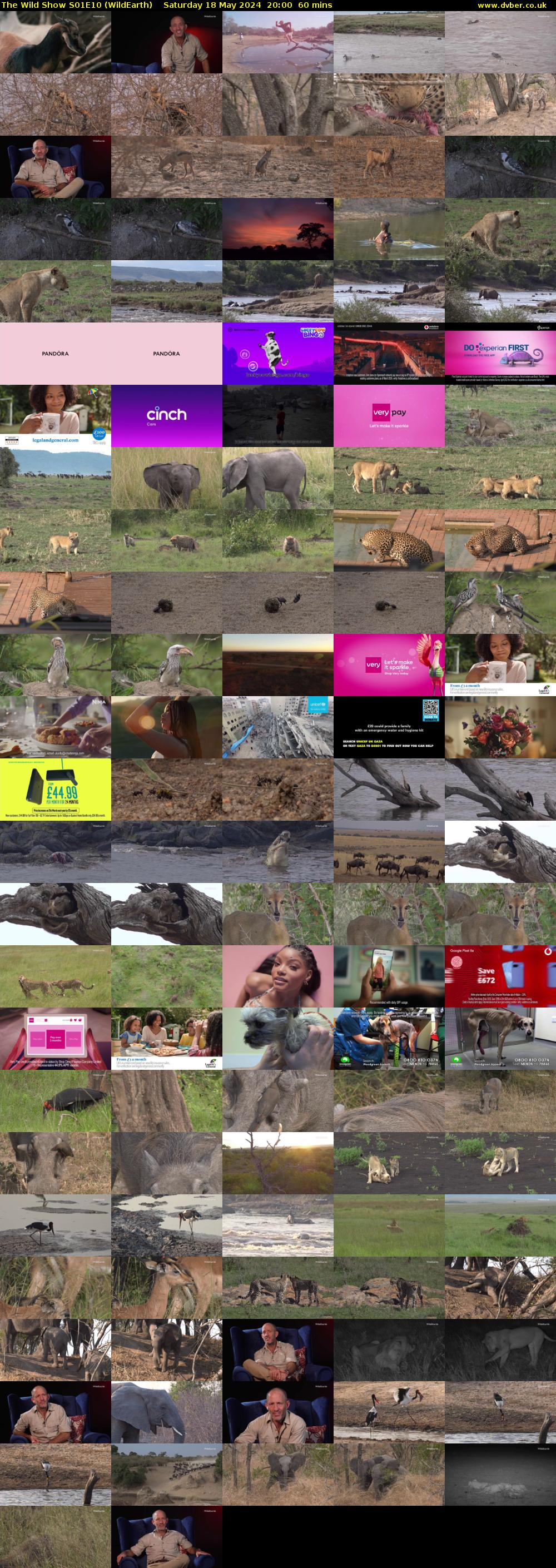 The Wild Show S01E10 (WildEarth) Saturday 18 May 2024 20:00 - 21:00