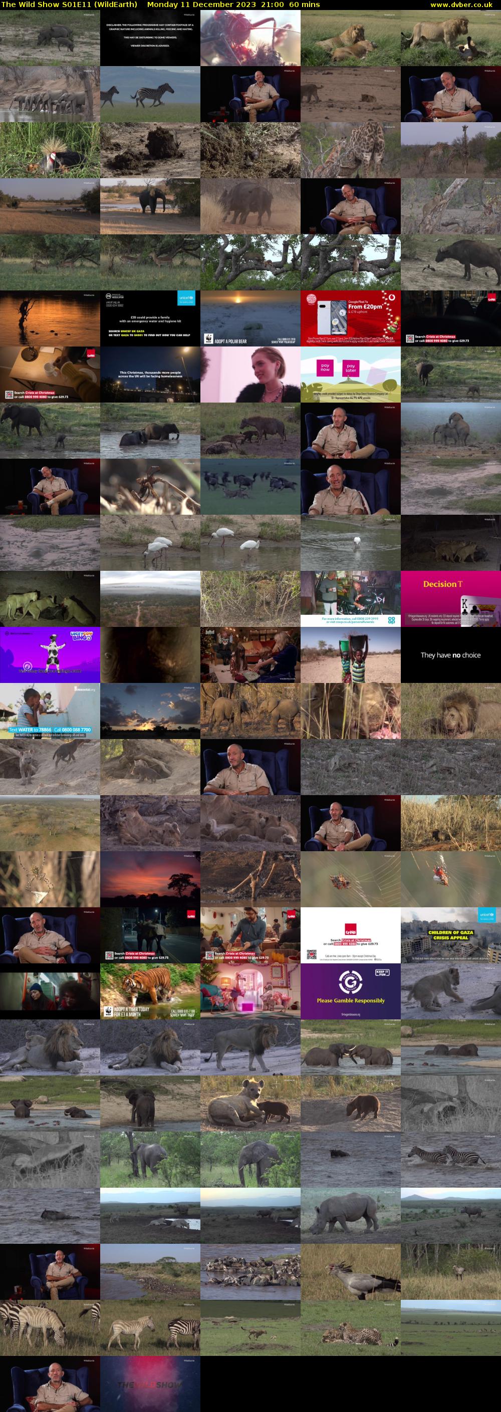 The Wild Show S01E11 (WildEarth) Monday 11 December 2023 21:00 - 22:00