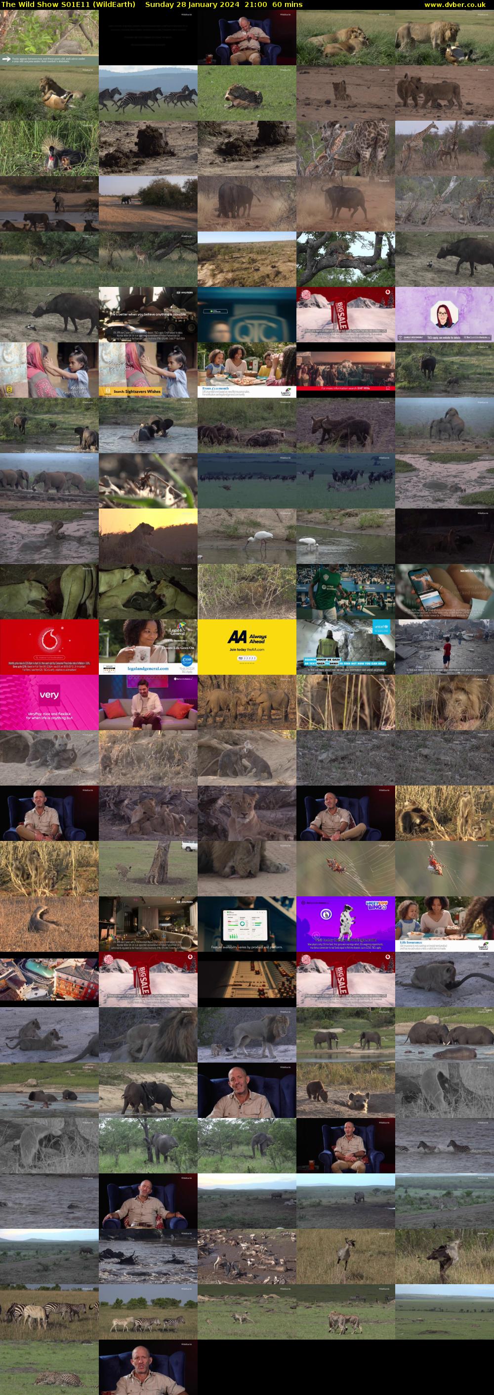 The Wild Show S01E11 (WildEarth) Sunday 28 January 2024 21:00 - 22:00