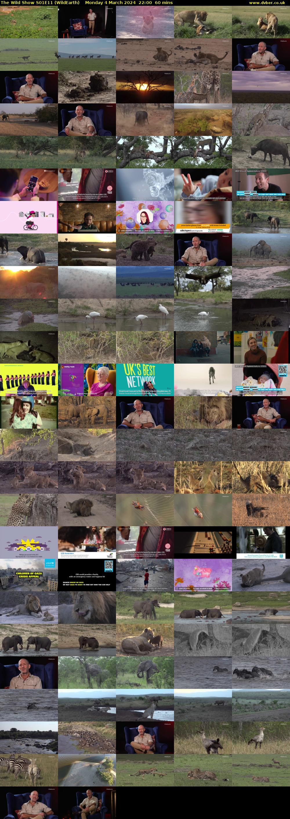 The Wild Show S01E11 (WildEarth) Monday 4 March 2024 22:00 - 23:00