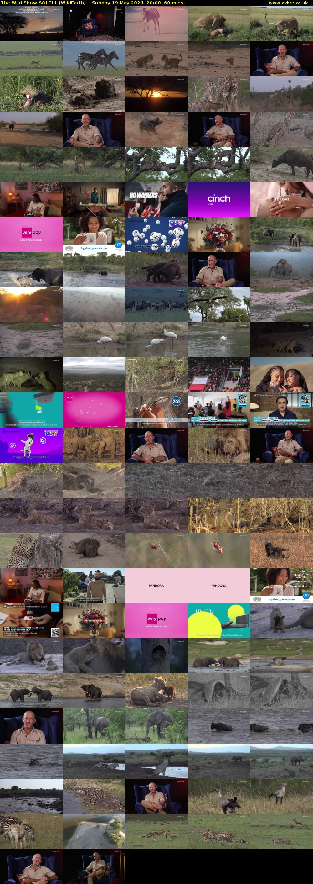 The Wild Show S01E11 (WildEarth) Sunday 19 May 2024 20:00 - 21:00