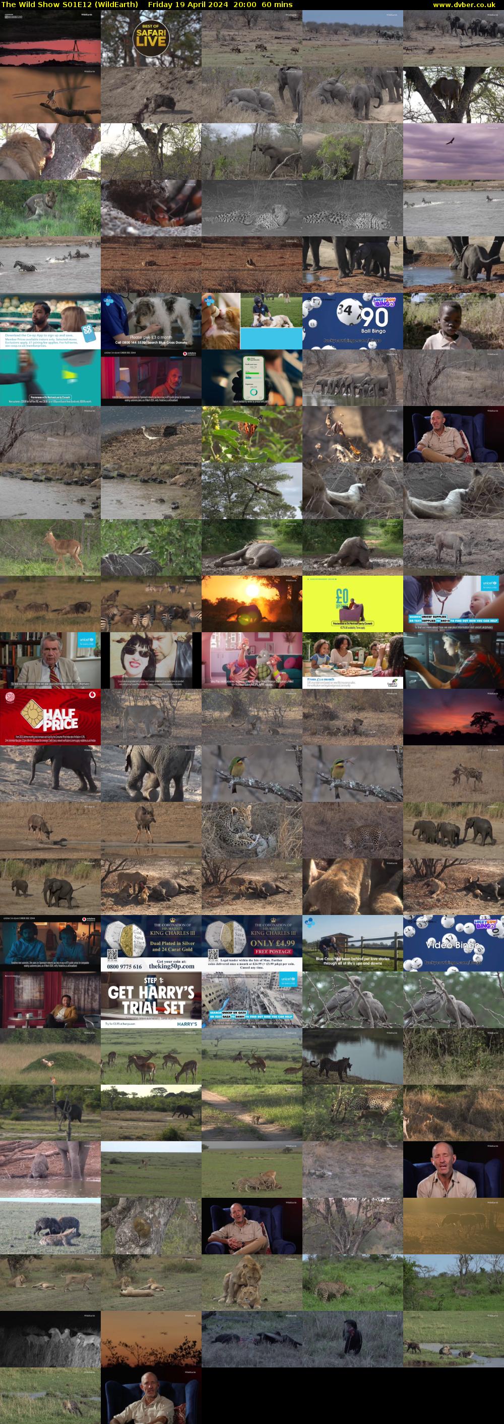 The Wild Show S01E12 (WildEarth) Friday 19 April 2024 20:00 - 21:00