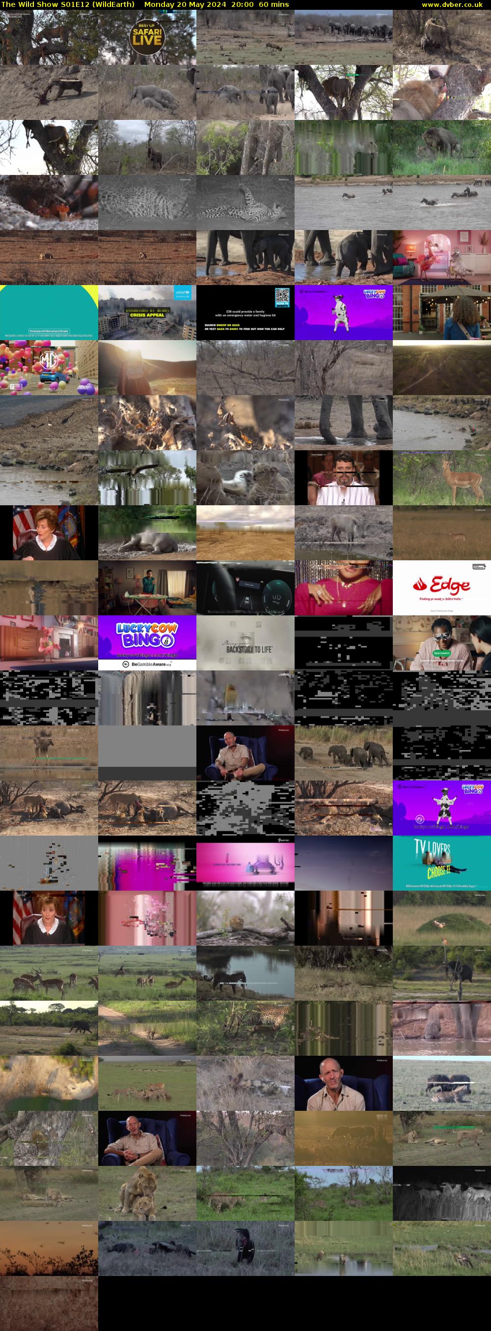 The Wild Show S01E12 (WildEarth) Monday 20 May 2024 20:00 - 21:00