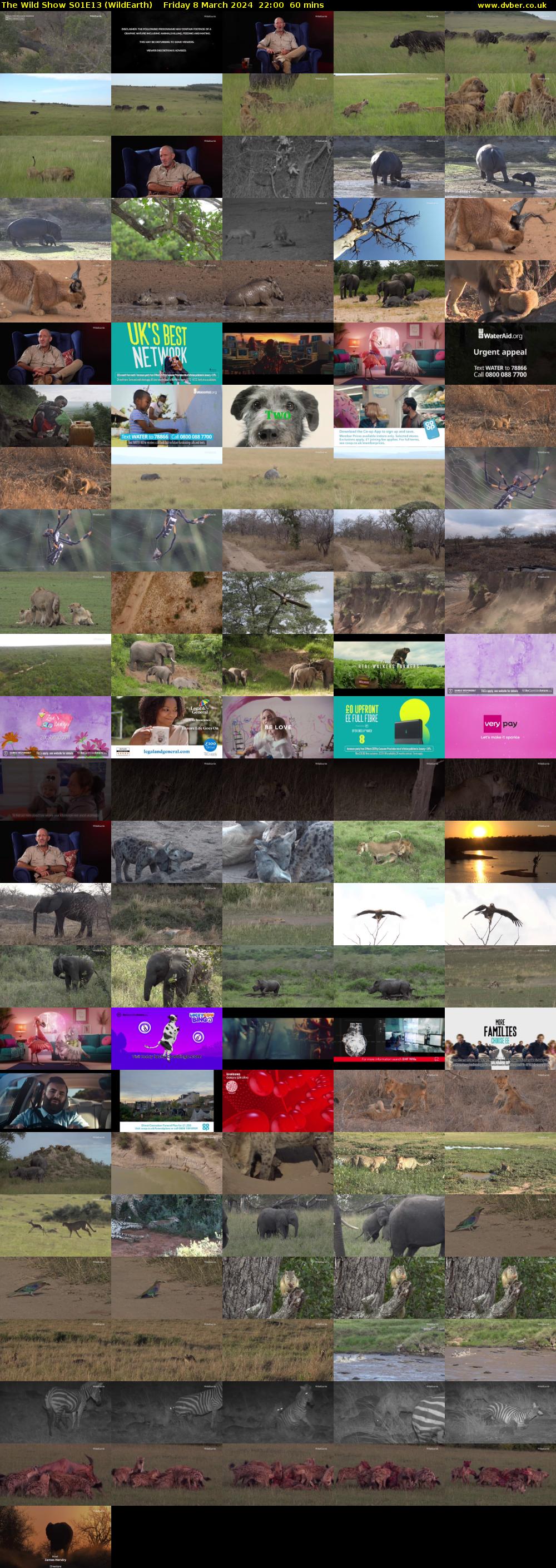 The Wild Show S01E13 (WildEarth) Friday 8 March 2024 22:00 - 23:00
