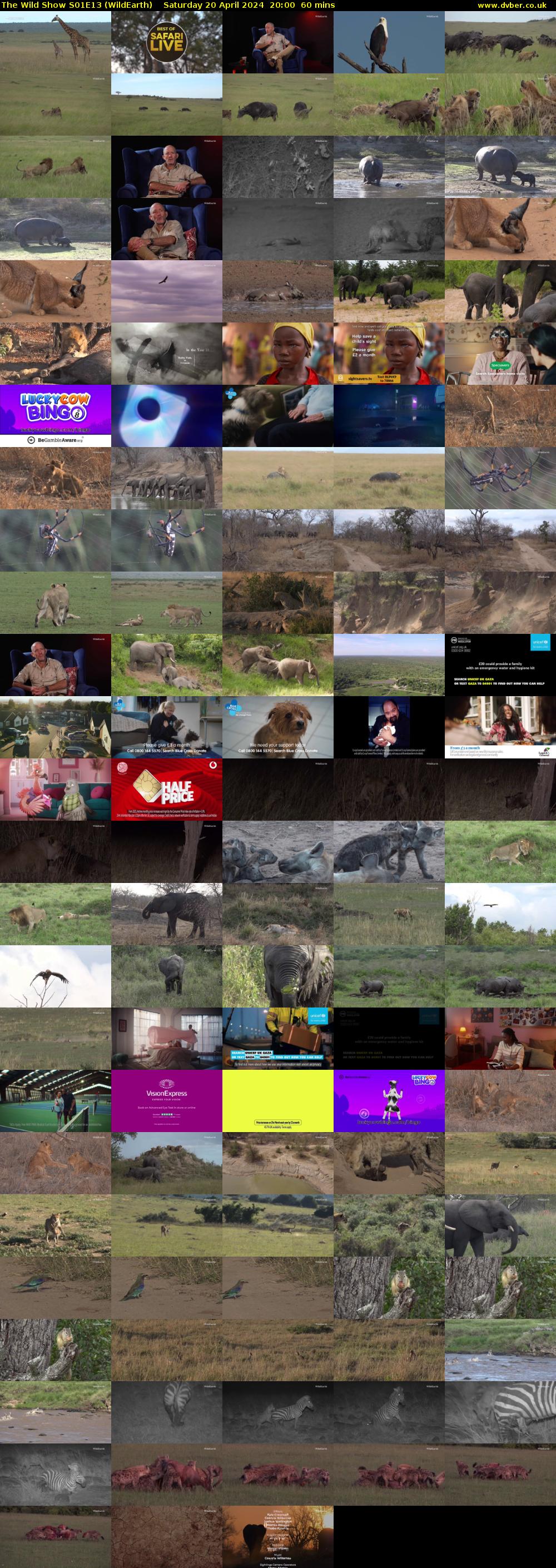 The Wild Show S01E13 (WildEarth) Saturday 20 April 2024 20:00 - 21:00
