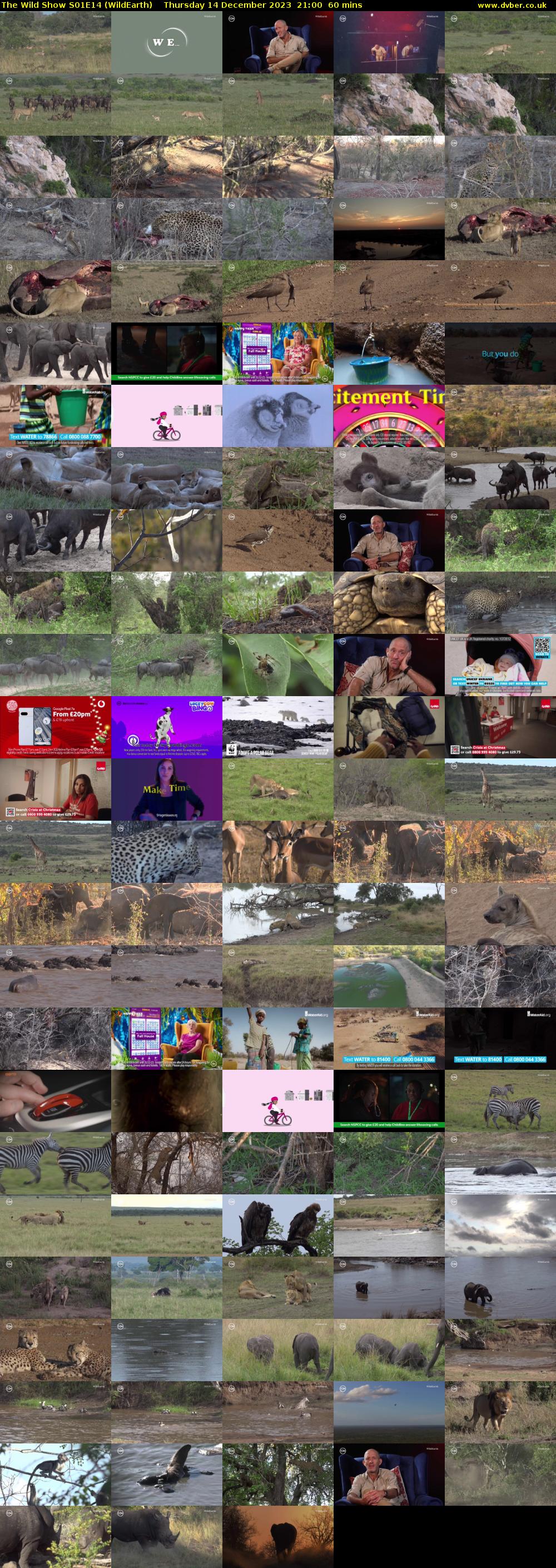 The Wild Show S01E14 (WildEarth) Thursday 14 December 2023 21:00 - 22:00