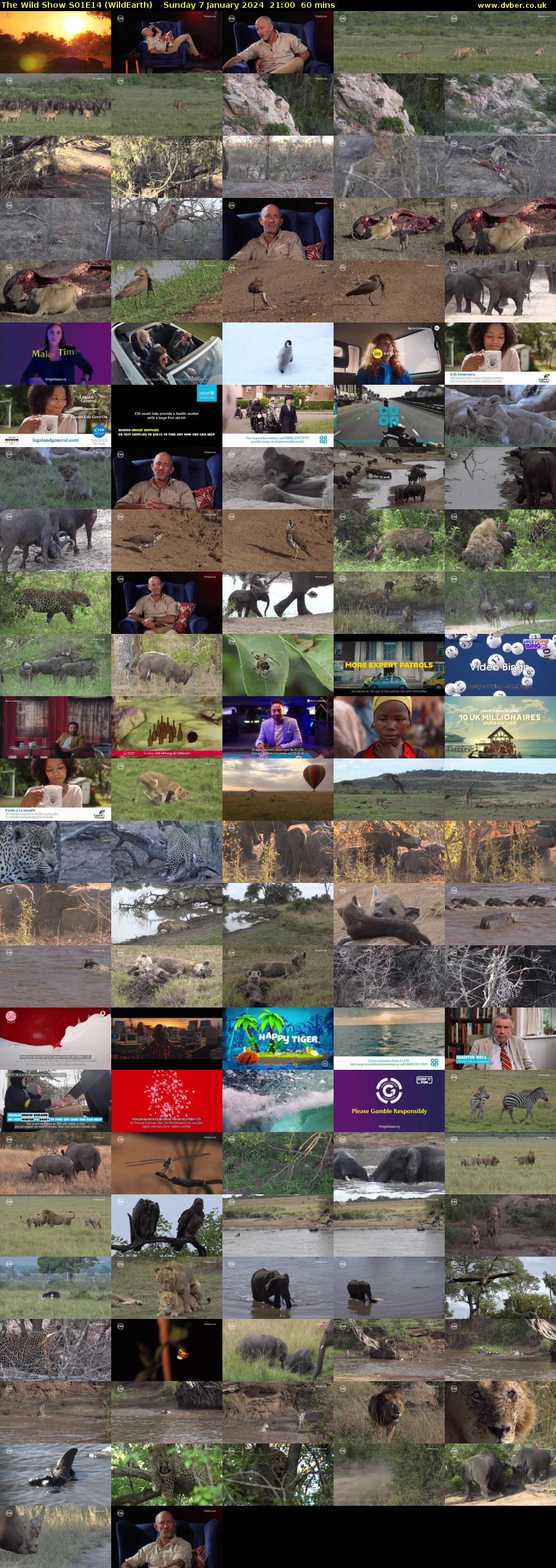 The Wild Show S01E14 (WildEarth) Sunday 7 January 2024 21:00 - 22:00