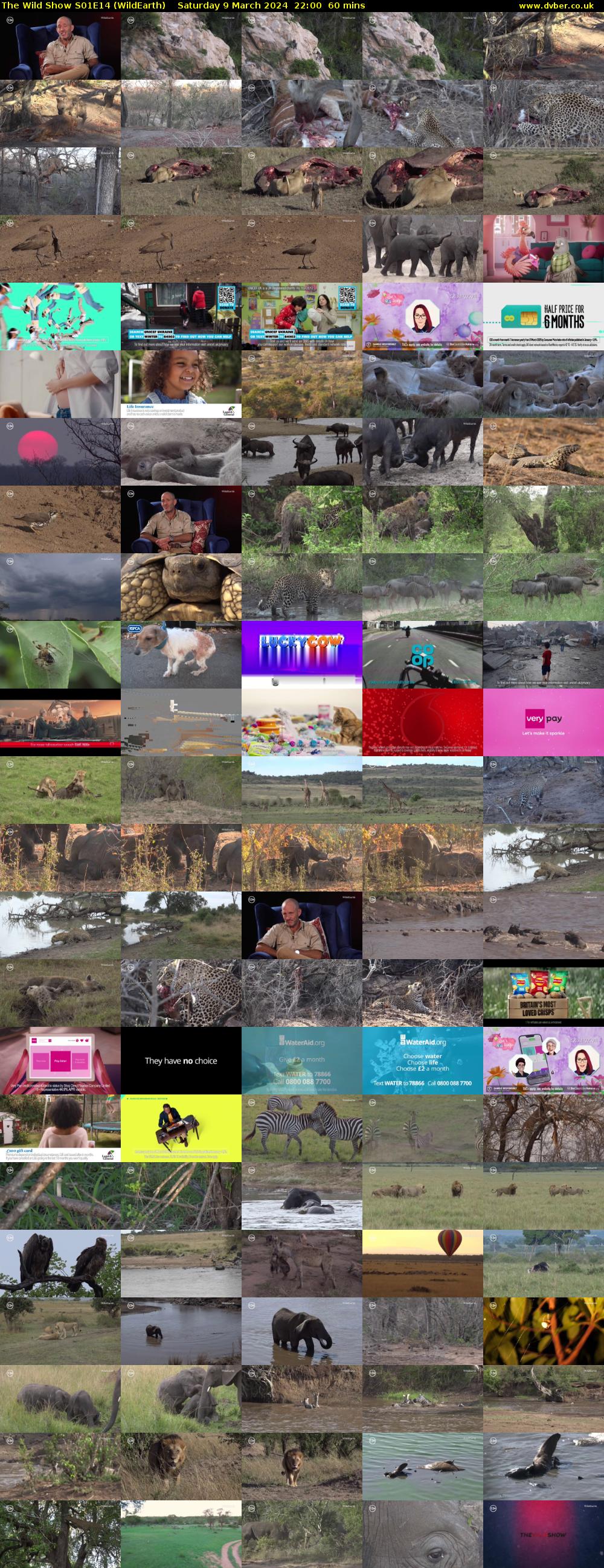 The Wild Show S01E14 (WildEarth) Saturday 9 March 2024 22:00 - 23:00