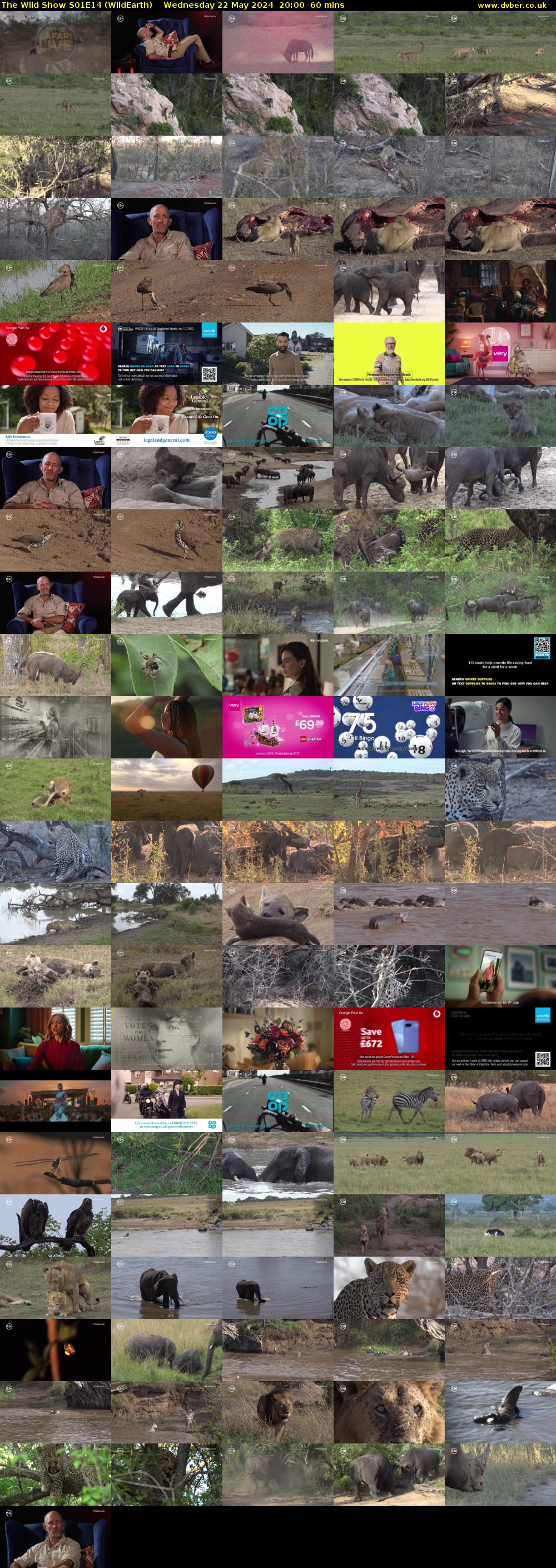 The Wild Show S01E14 (WildEarth) Wednesday 22 May 2024 20:00 - 21:00