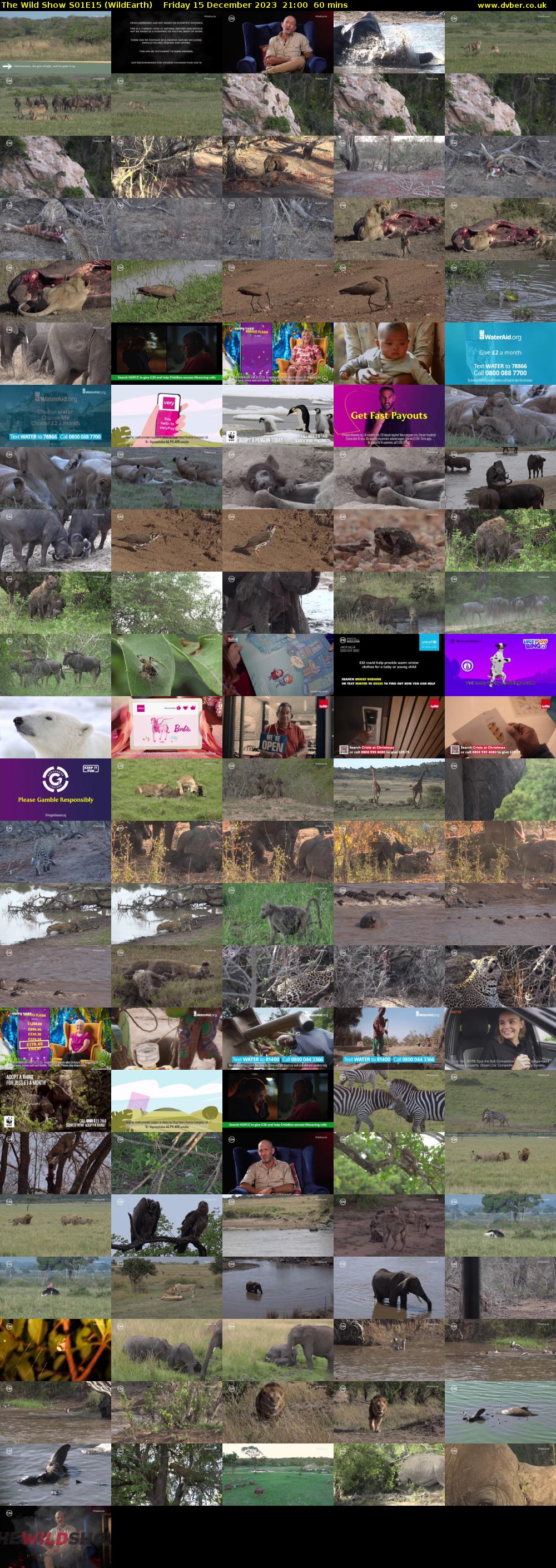 The Wild Show S01E15 (WildEarth) Friday 15 December 2023 21:00 - 22:00