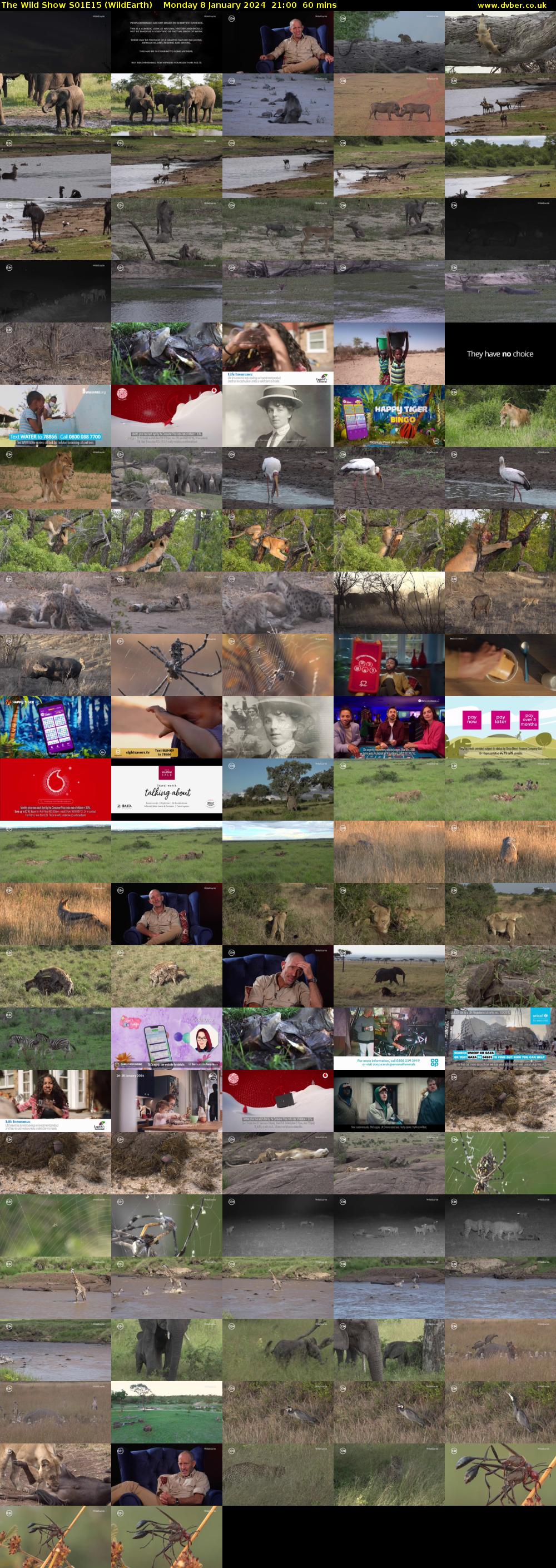 The Wild Show S01E15 (WildEarth) Monday 8 January 2024 21:00 - 22:00